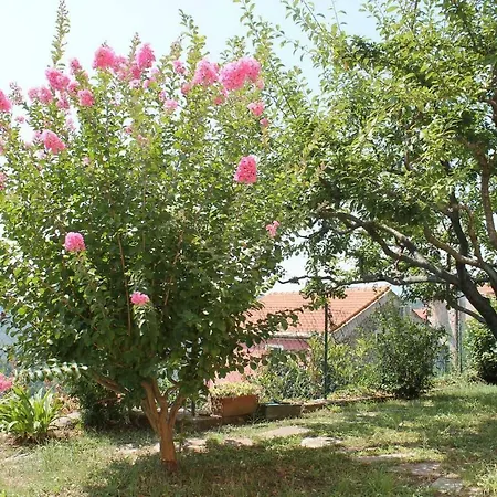 Apartment La Casetta Di Graziella